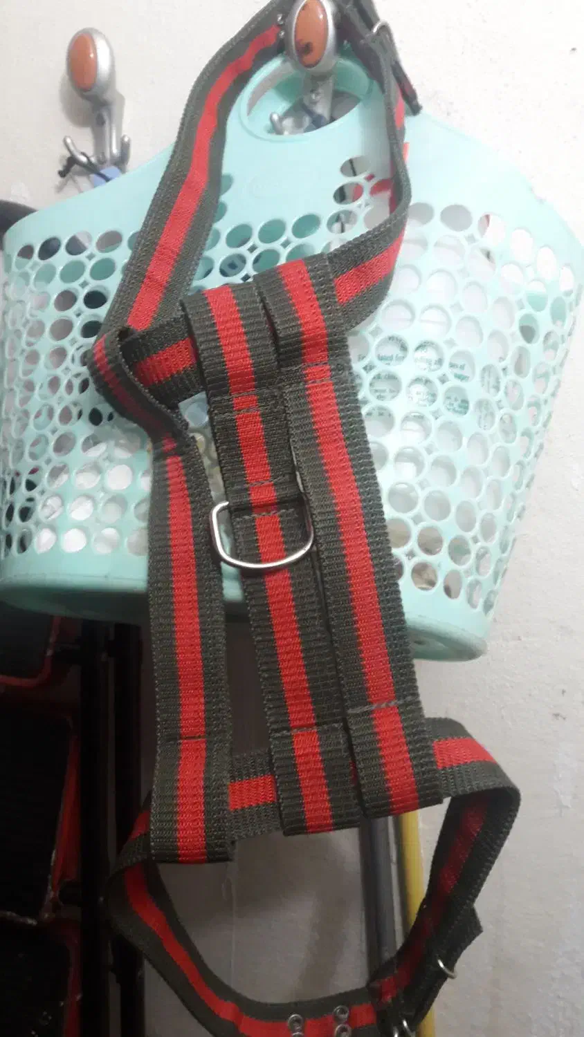 ابساروسینه بند|لوازم جانبی حیوانات|تهران, باغ خزانه|دیوار