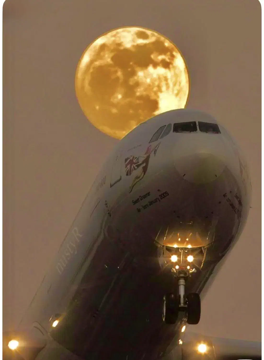 بلیط هواپیماتمام مسیرداخلی قشم مشهدکرمانشا رزرفوری|تور و چارتر|شیراز, فرودگاه شهید دستغیب شیراز|دیوار