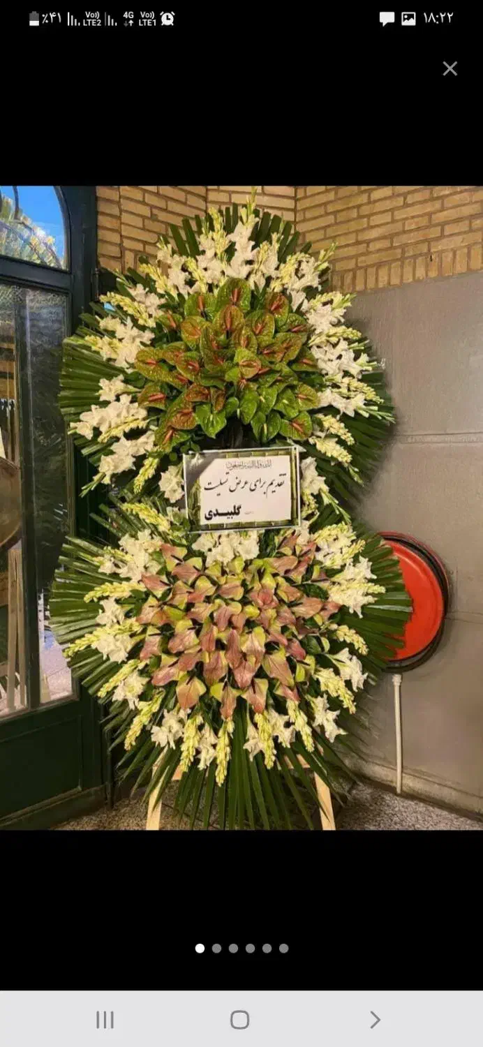 گل رز هلندی سبد گل نمایشگاه|گل و گیاه طبیعی|قم, بلوار امین و ساحلی|دیوار