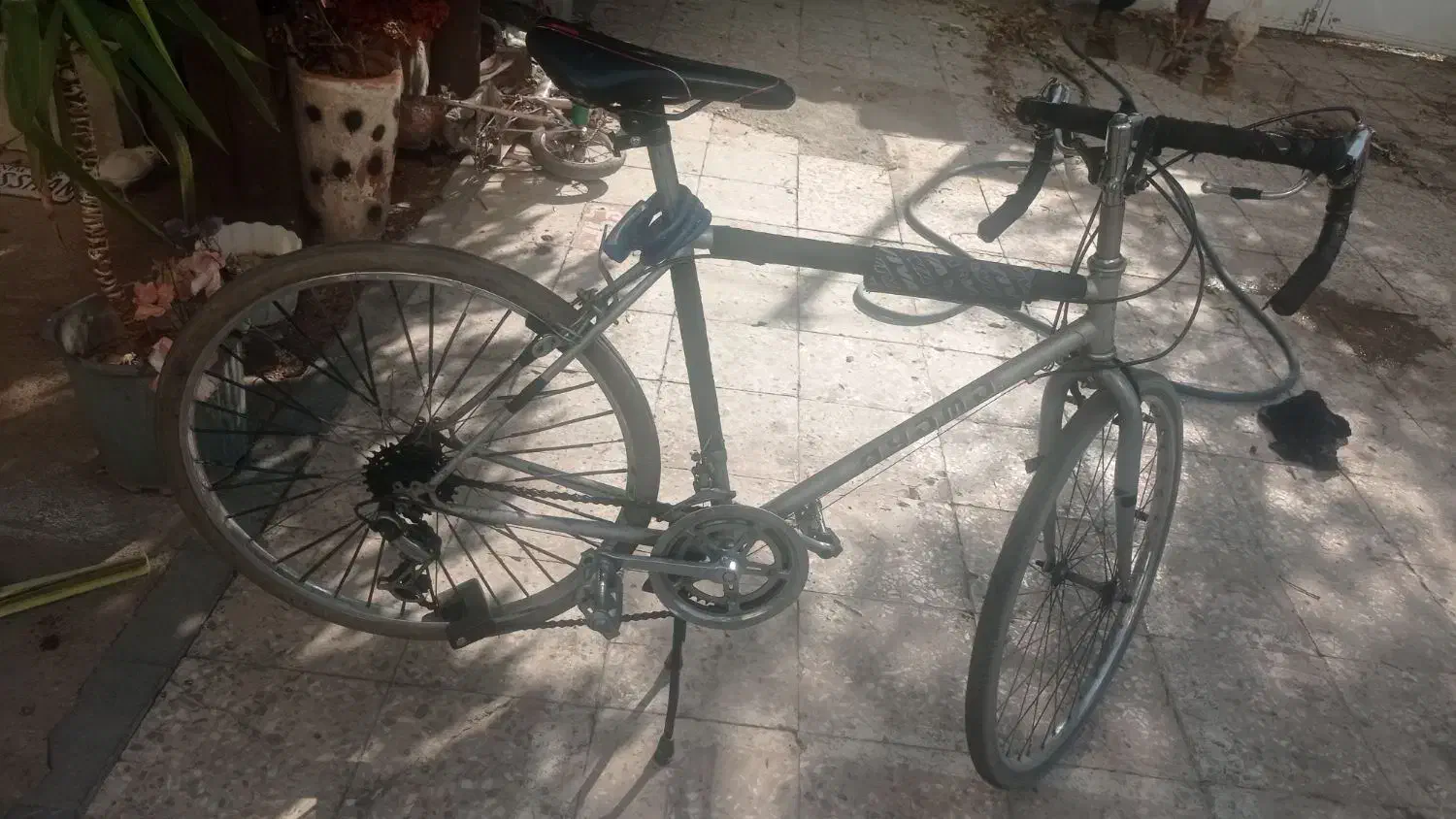 دوچرخه کورسی و کوهستانی|دوچرخه، اسکیت، اسکوتر|ایذه, |دیوار