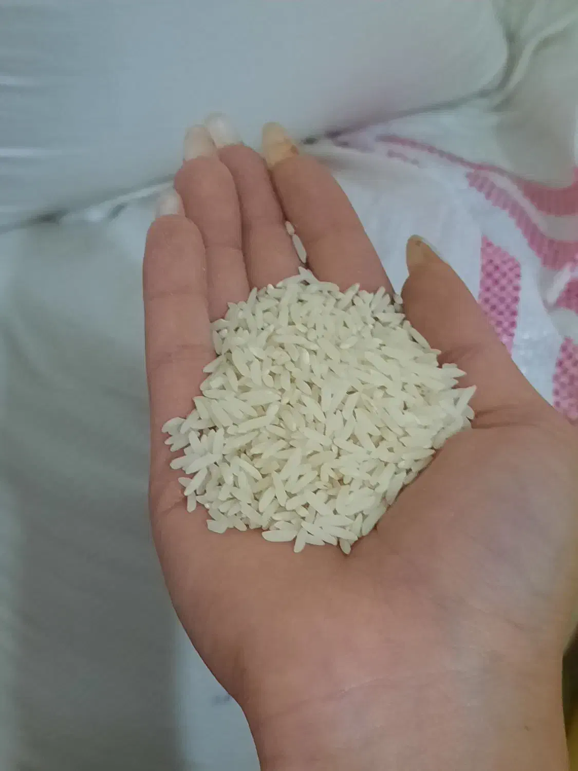 برنج هاشمی|خوردنی و آشامیدنی|محمدشهر, محمدشهر|دیوار