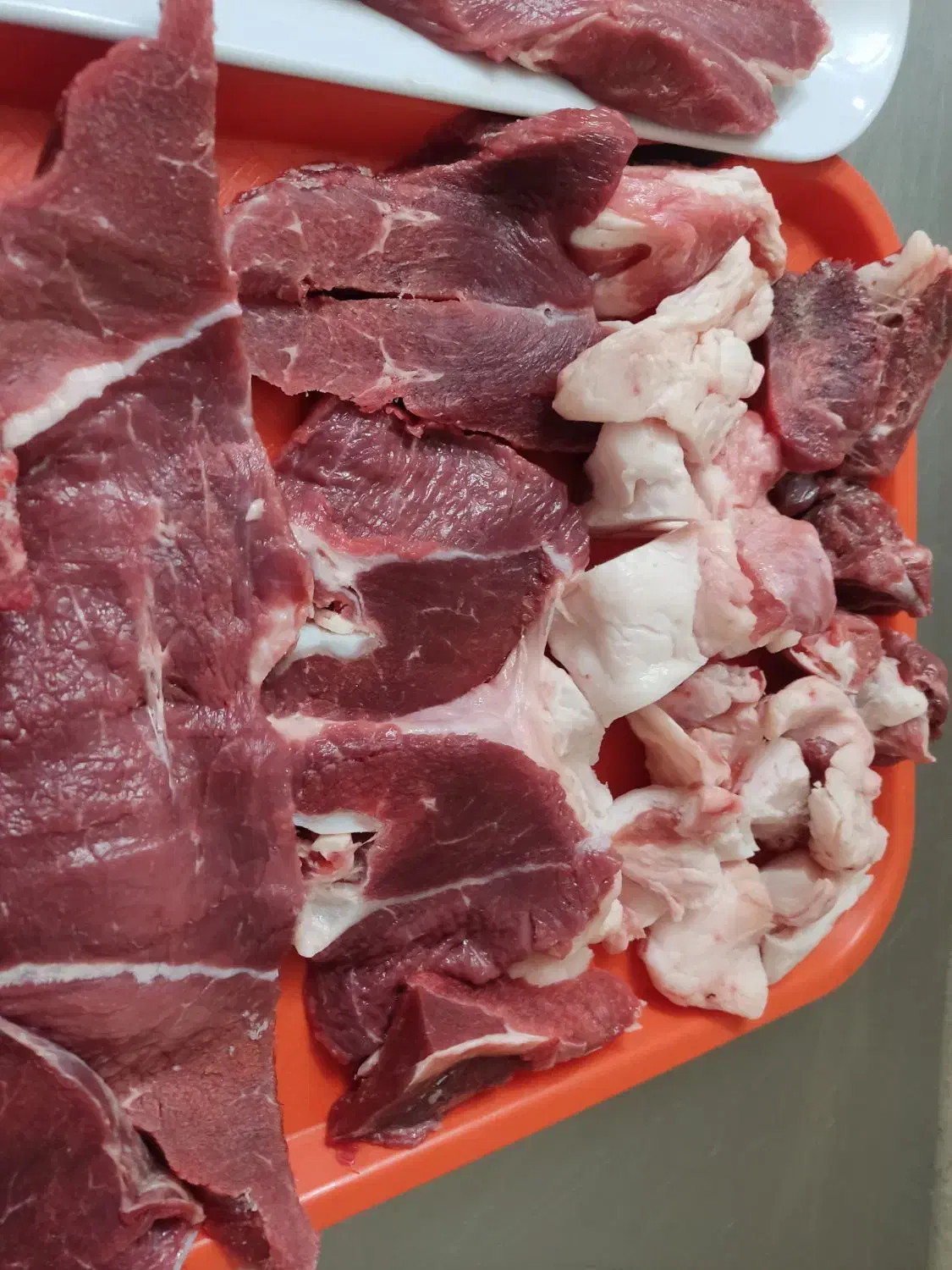 کباب سرای|خدمات پذیرایی، مراسم|یزد, |دیوار