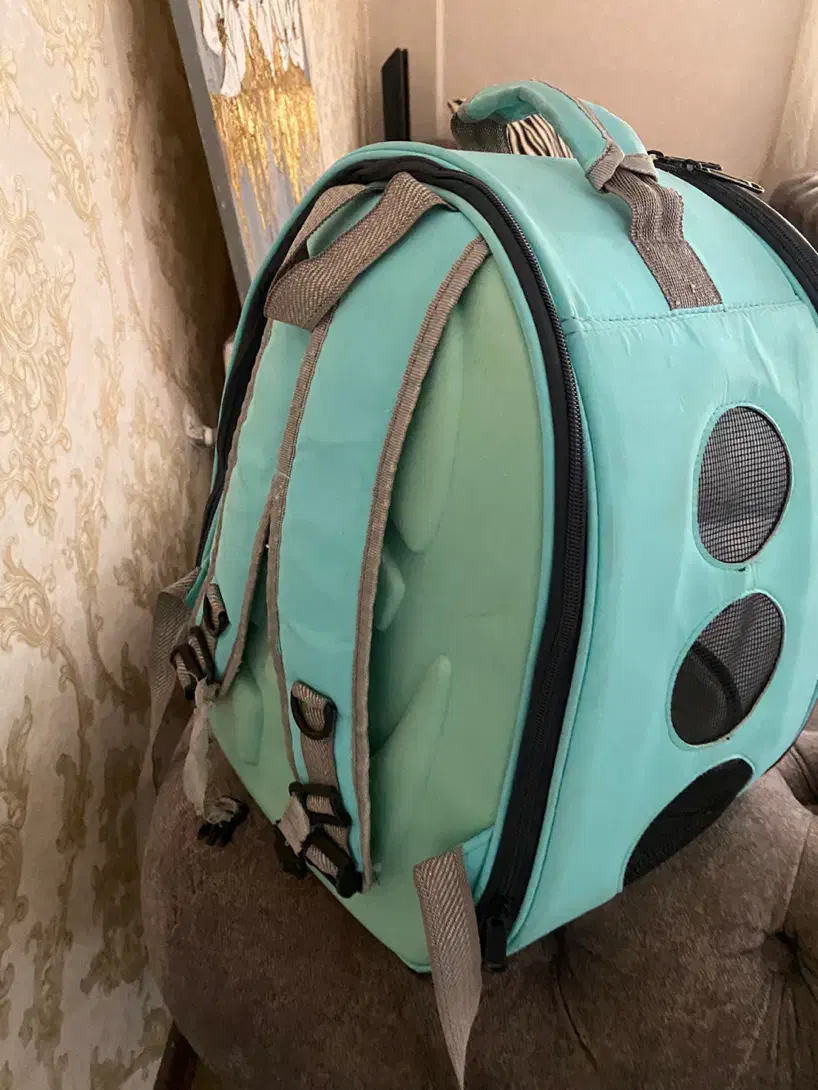 باکس گربه|لوازم جانبی حیوانات|رشت, گلسار|دیوار