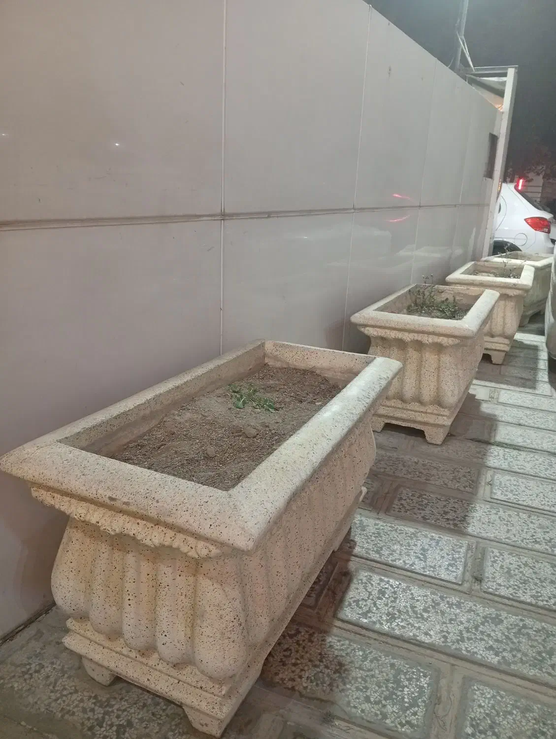 گلدان سیمانی|گل و گیاه طبیعی|کرج, چمران|دیوار