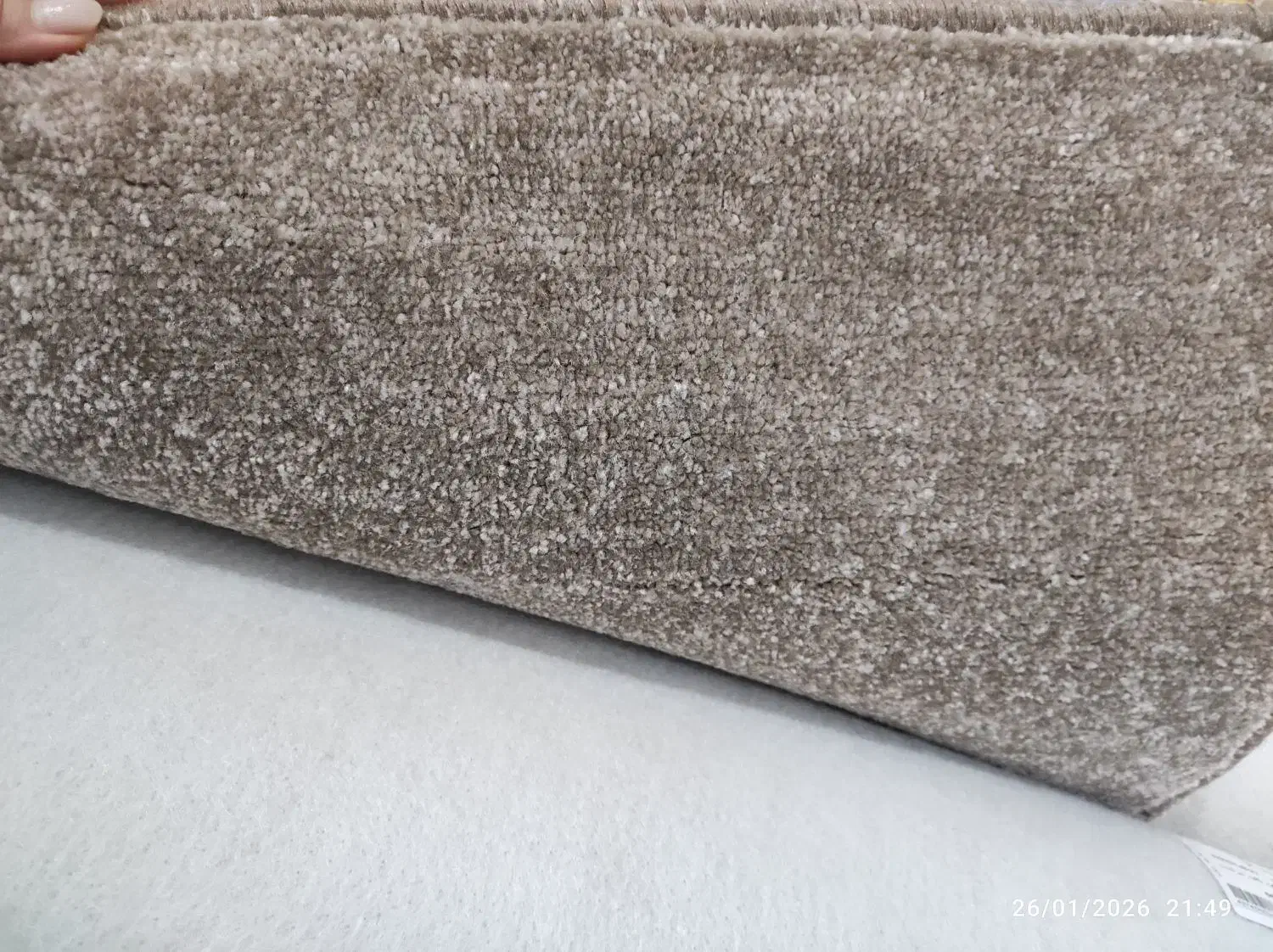 پالاز موکت نو|موکت|دزفول, |دیوار