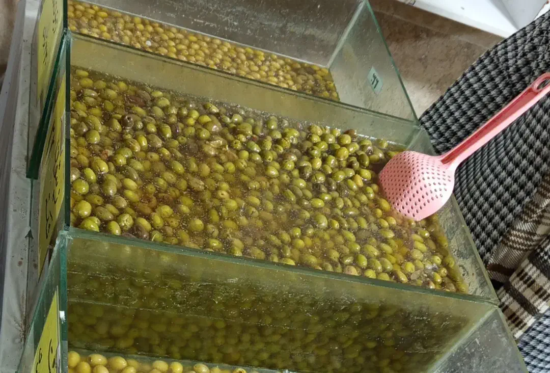 ۹ عدد شیشه اکواریوم|ماهی|رشت, پیرکلاچای|دیوار