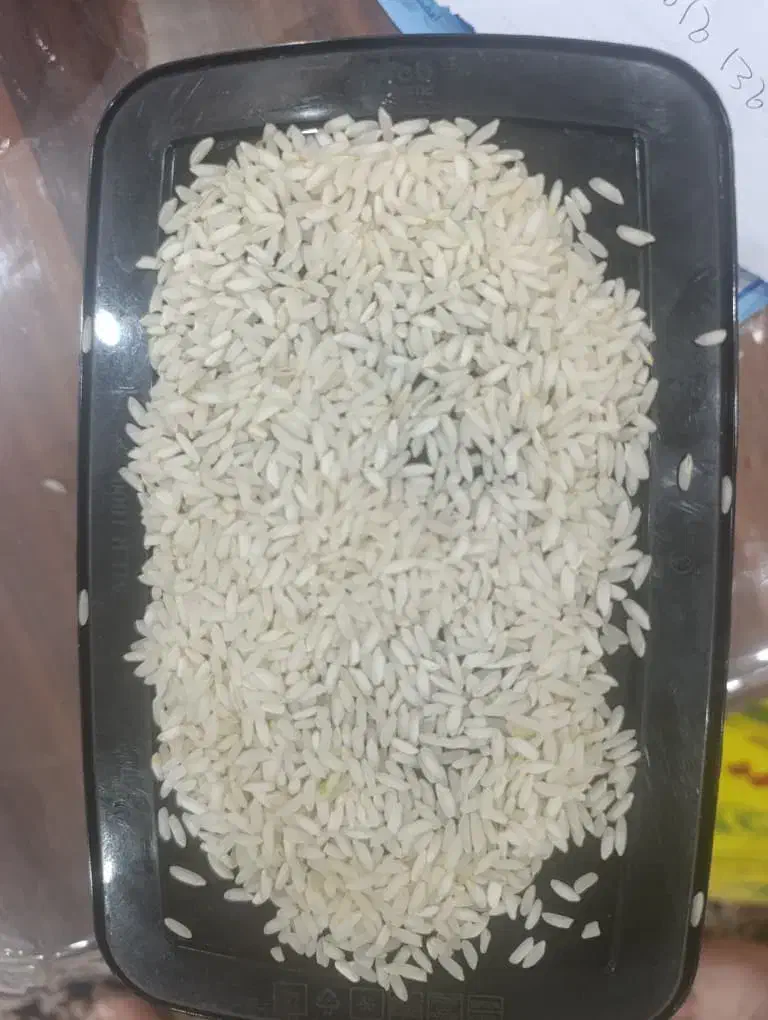 برنج عنبر بو|خوردنی و آشامیدنی|شوشتر, |دیوار