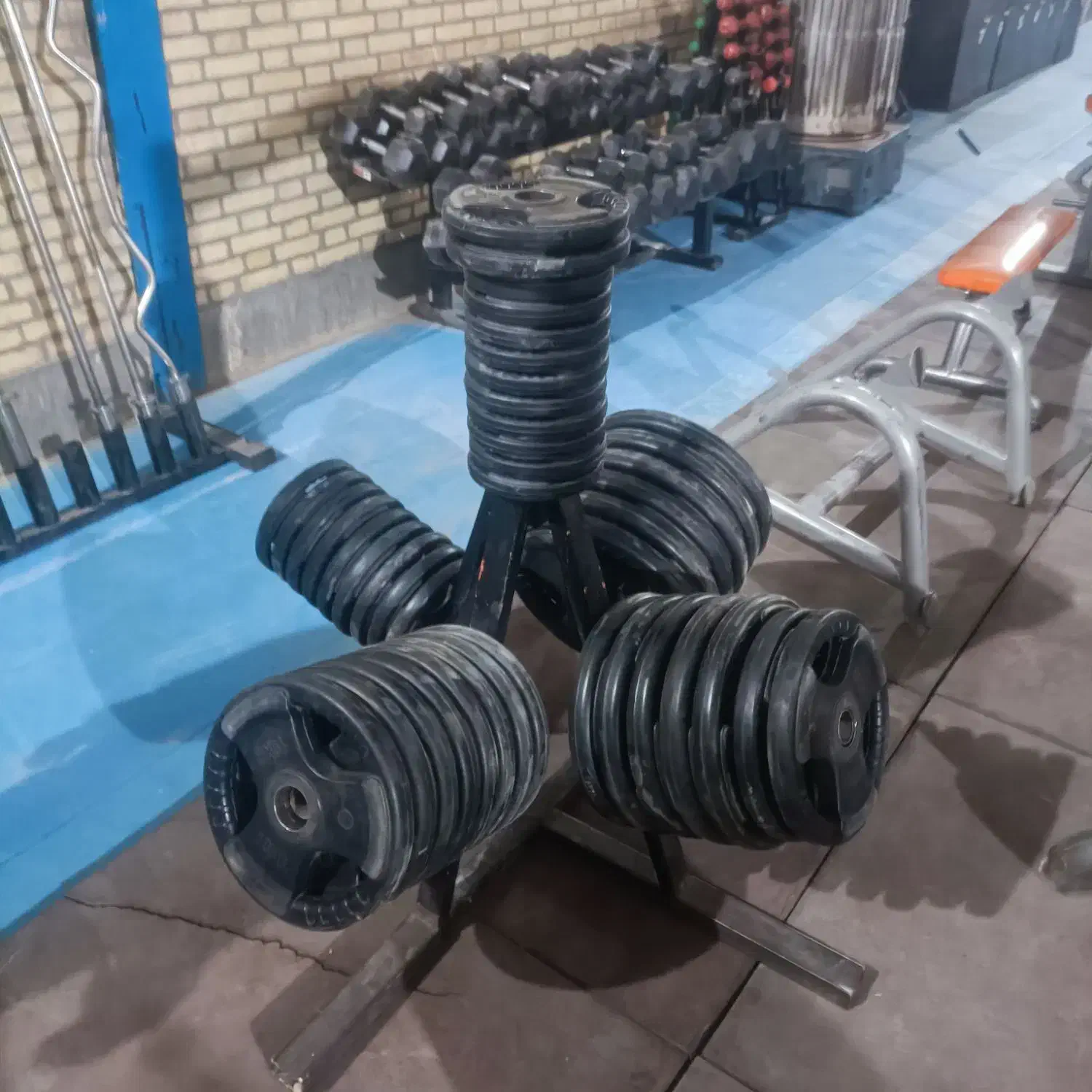 باشگاه بدنسازی جارو کش|تجهیزات ورزشی|تایباد, |دیوار