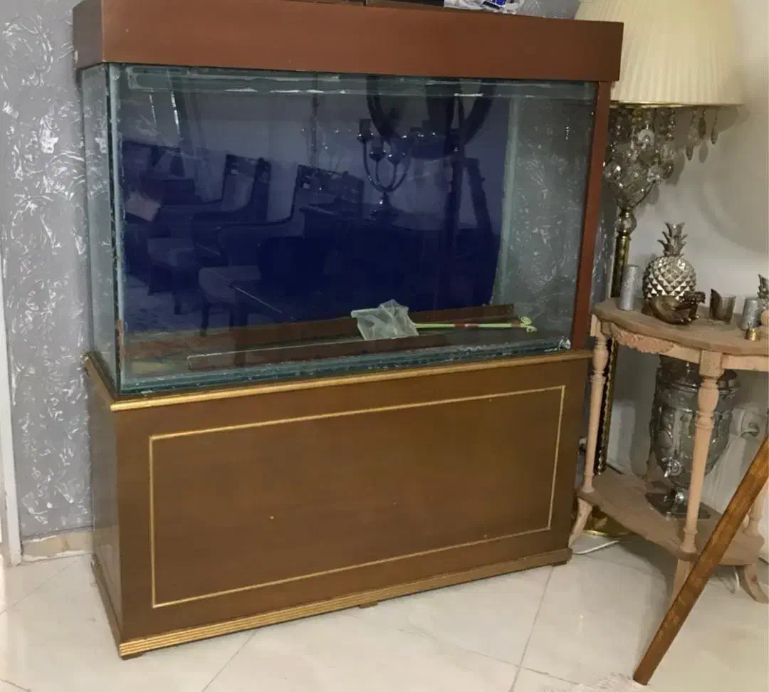 آکواریوم|ماهی|بومهن, |دیوار