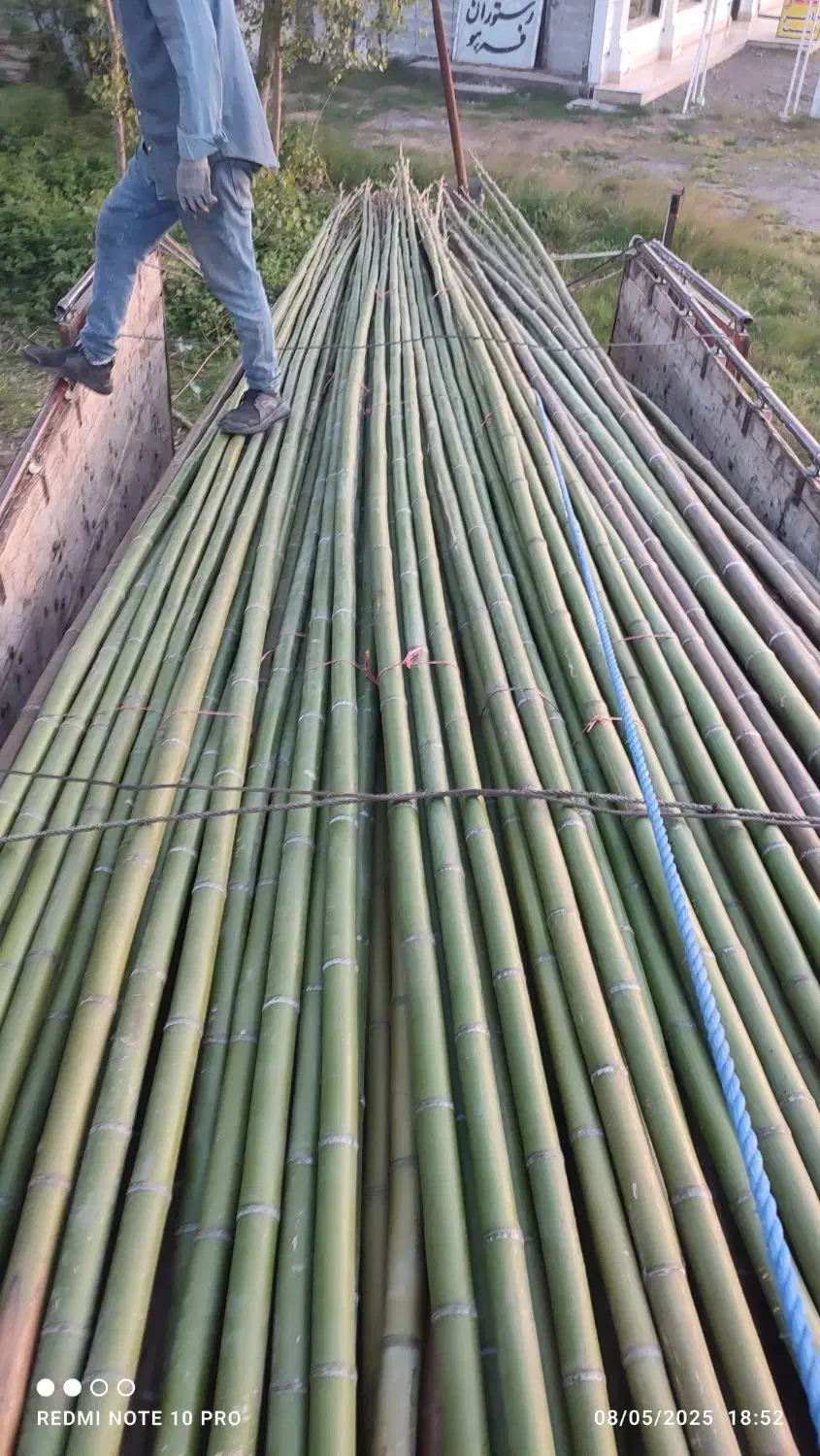 چوب زیبا برای هر چیزی ک ب ذهنتان خطور کند|خدمات باغبانی و درختکاری|شیراز, باغ تخت|دیوار