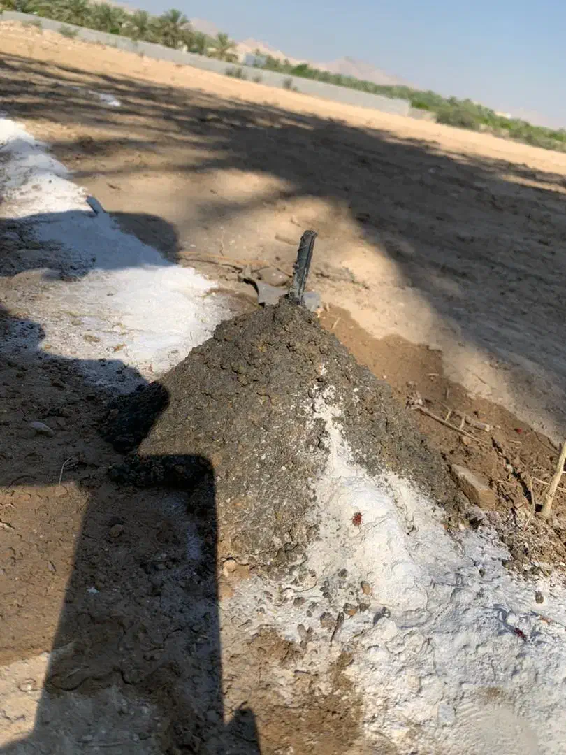 دنبال زمین میگردم|مشارکت در ساخت املاک|جم, |دیوار