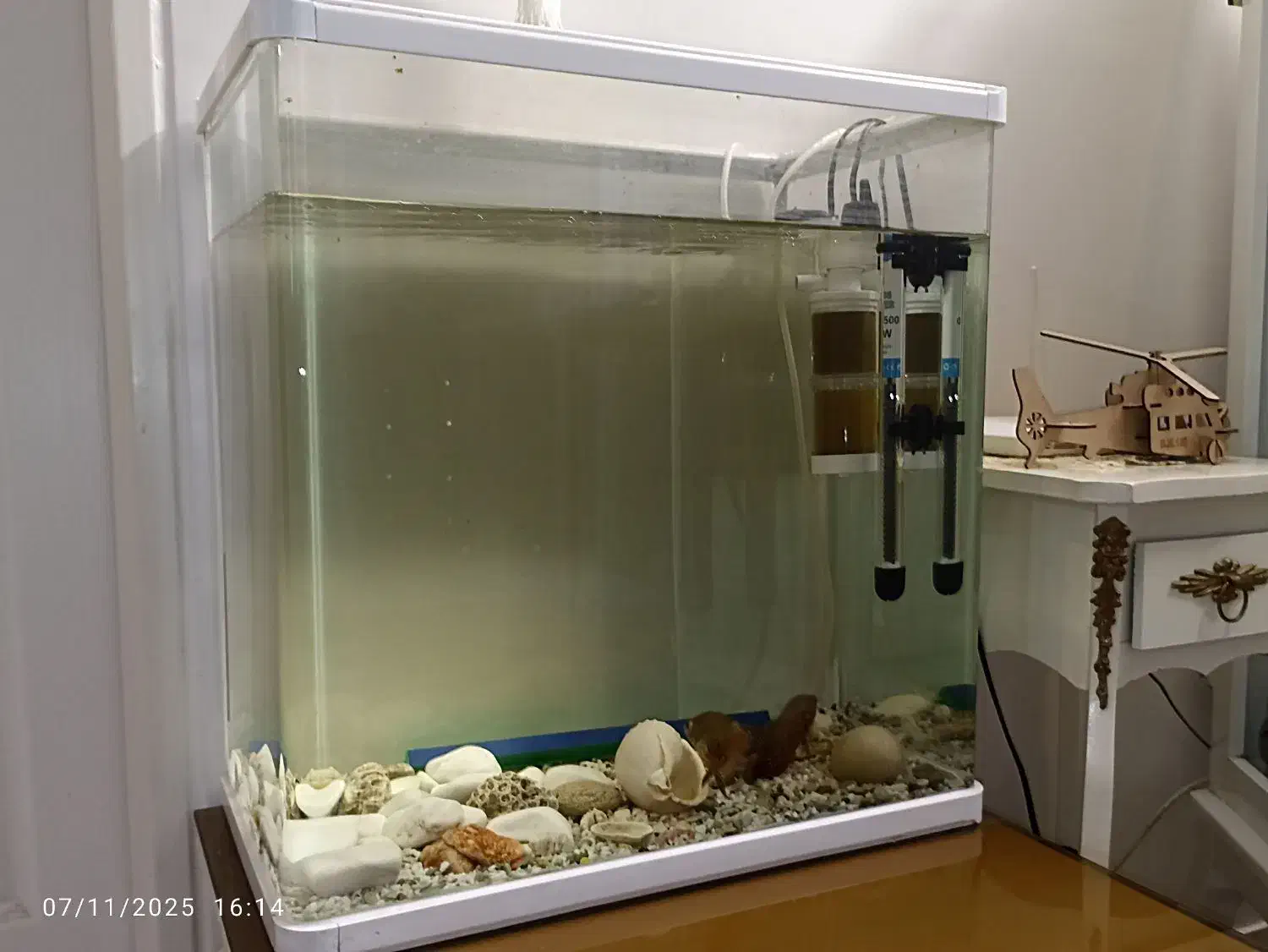 اکواریوم شیشه خم به همراه ماهی و متعلقات|ماهی|تهران, کوثر|دیوار