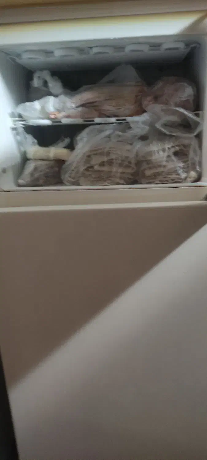 یخچال سالم در حال استفاده|یخچال و فریزر|نگین شهر, |دیوار