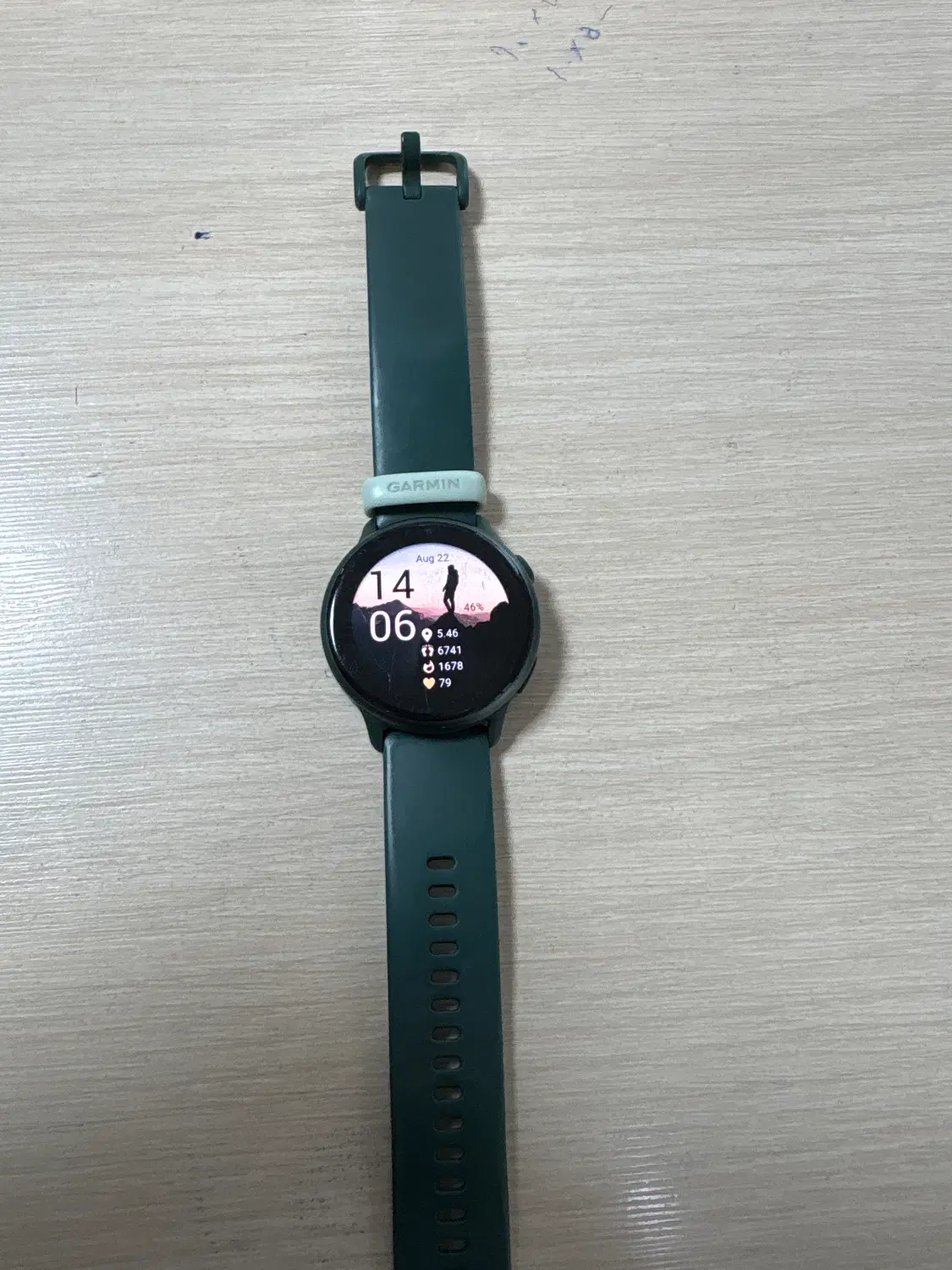 ساعت گارمین Vivoactive 6|ساعت|اصفهان, قلعه طبره|دیوار