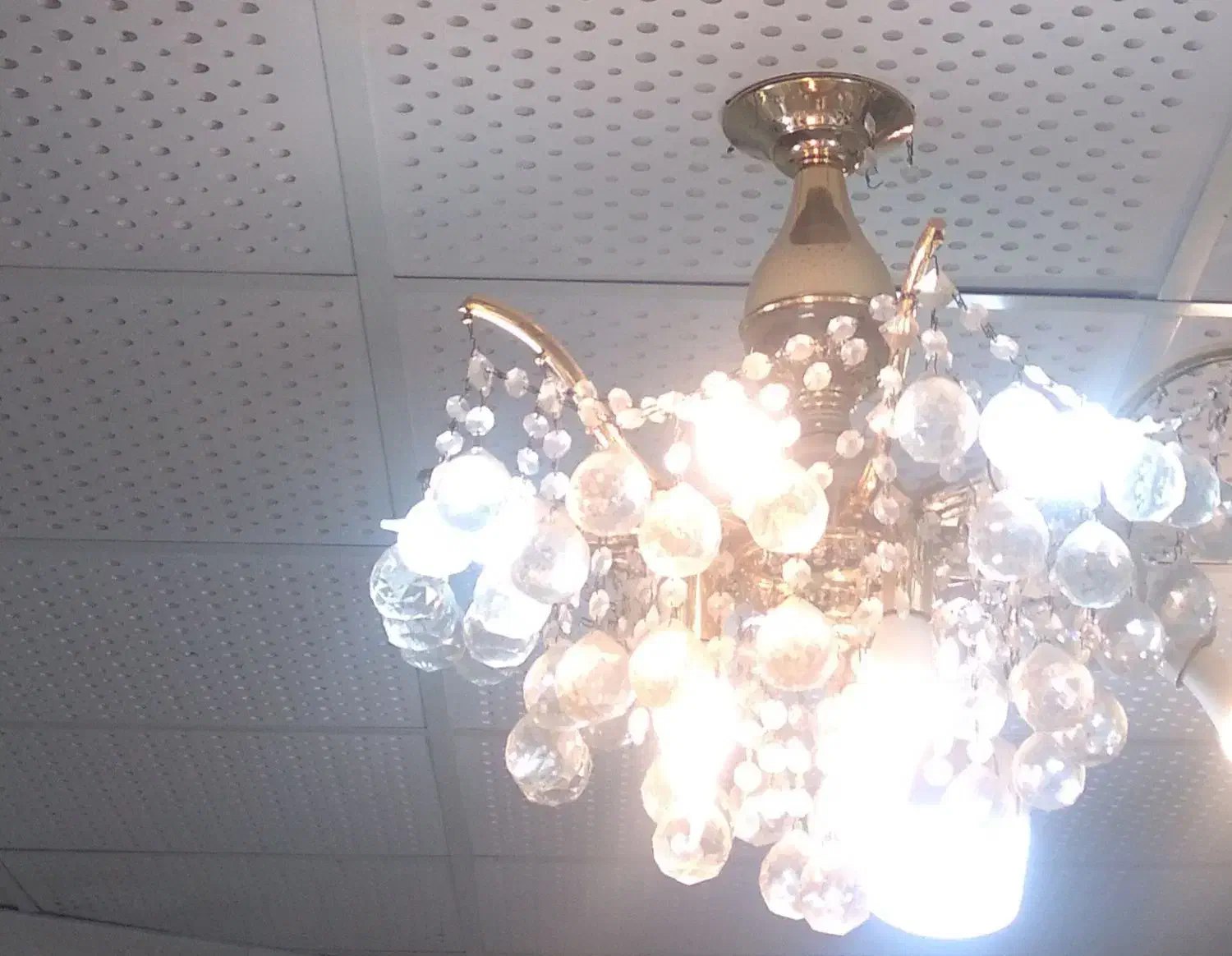 لوسترالماسی|لوستر و چراغ آویز|تربت‌حیدریه, باغ سلطانی|دیوار