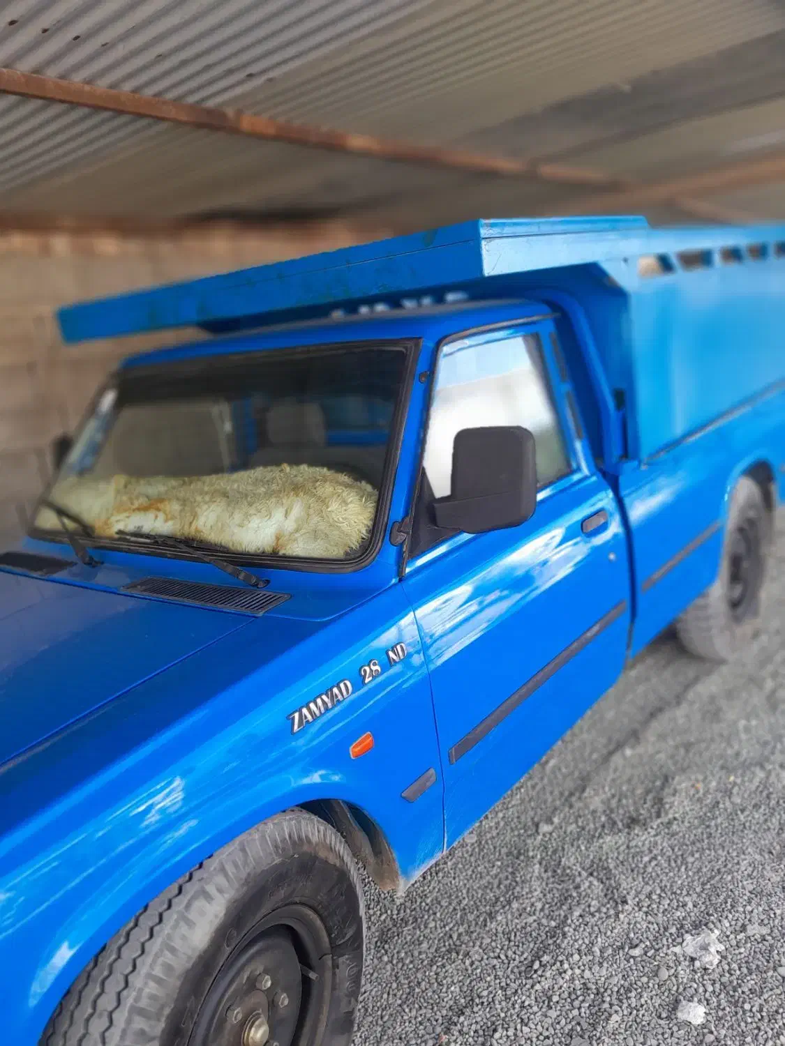 فروش یا معاوضه نیسان دیزل با بنزینی|خودرو سواری و وانت|چابهار, |دیوار