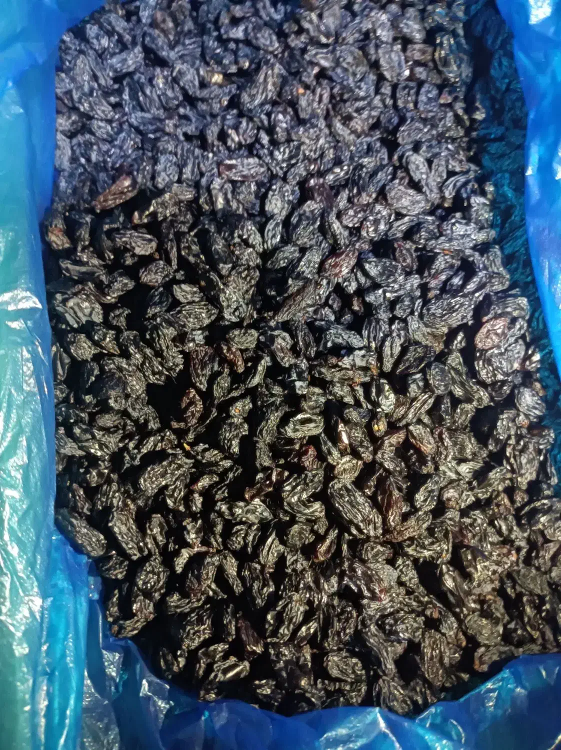 کشمش مویز|خوردنی و آشامیدنی|تبریز, |دیوار