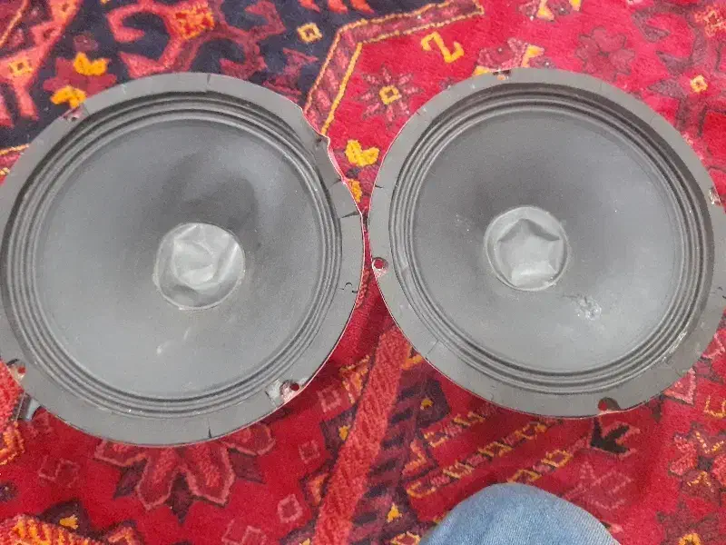 میدرنج ۱۰ اینچ|سیستم صوتی خانگی|صومعه‌سرا, |دیوار