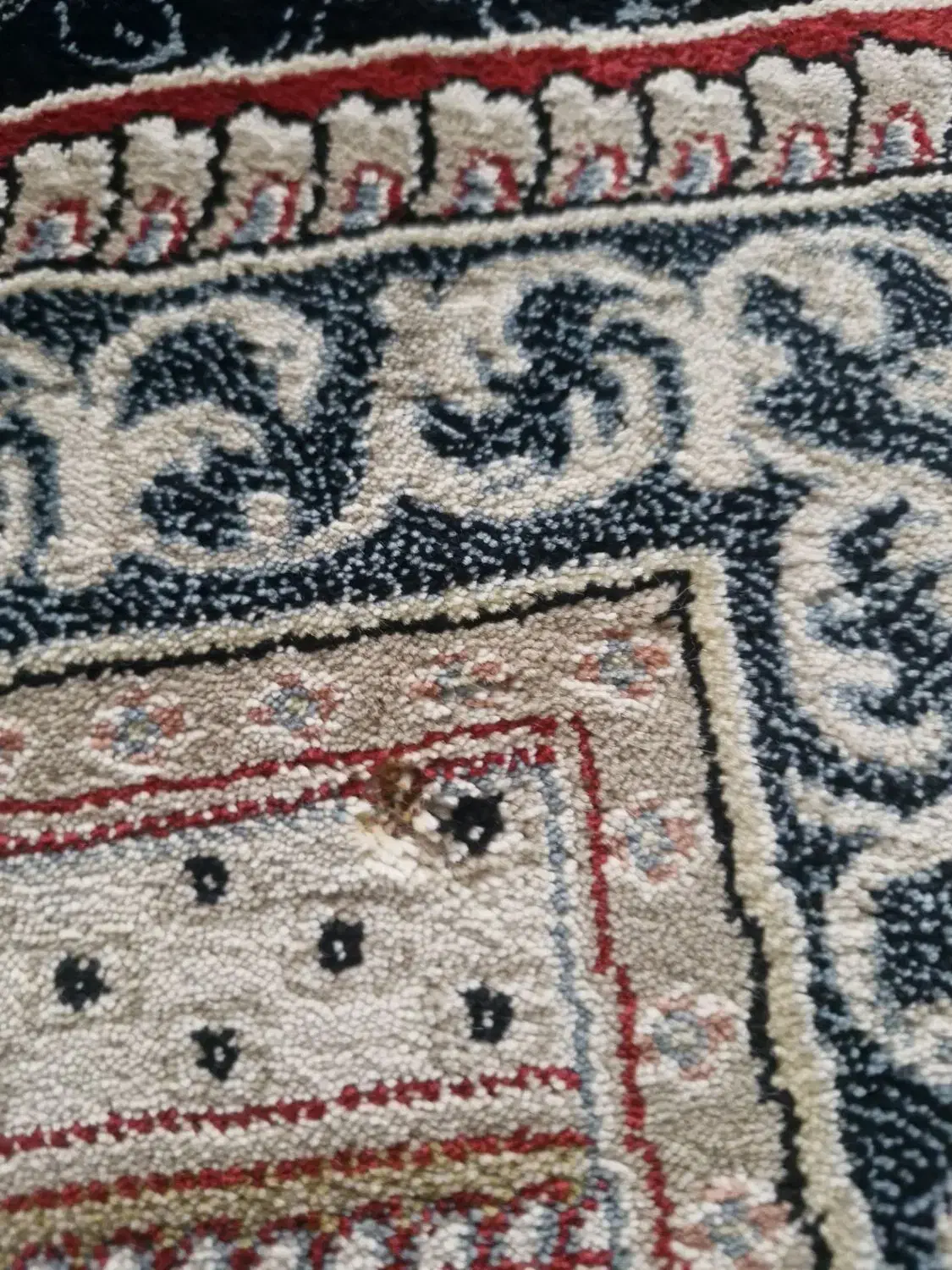 فرش ۱۲متری|فرش|مشهد, هفده شهریور|دیوار