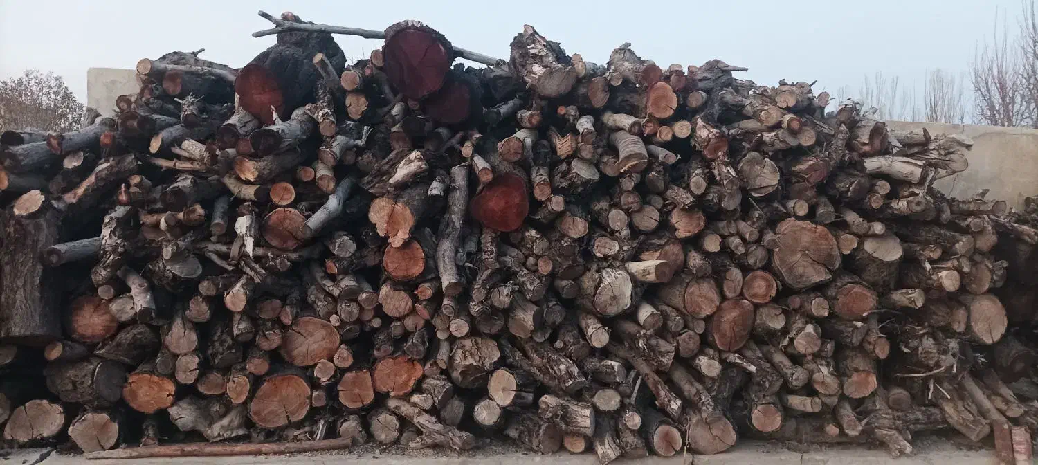 هیزم خشک ، چوب خشک شومینه و بخاری هیزمی|خدمات باغبانی و درختکاری|ارومیه, |دیوار