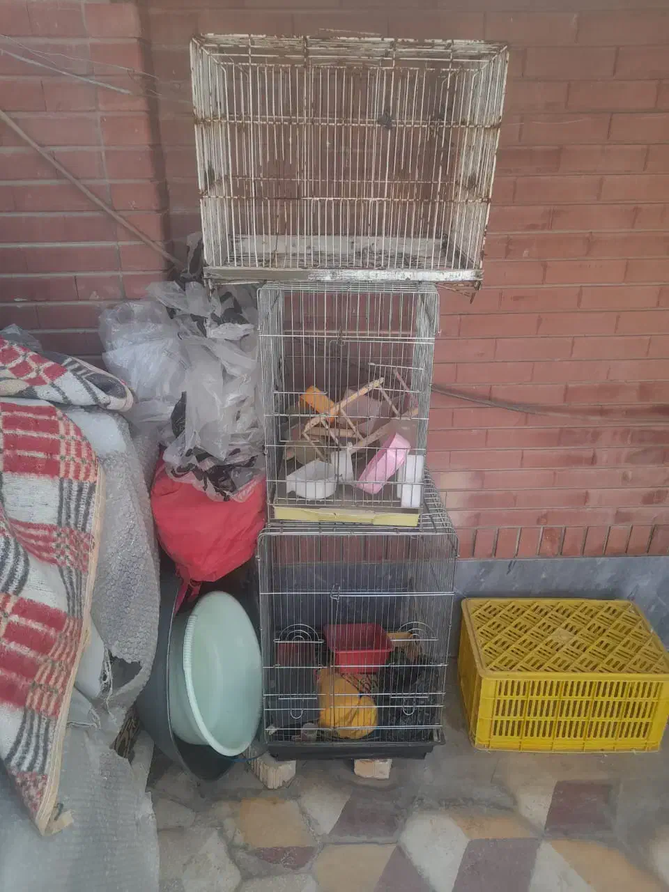 قفس پرنده در همه سایز سالم|لوازم جانبی حیوانات|شیراز, محراب|دیوار