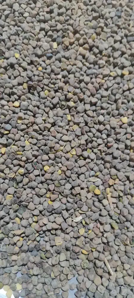 هُلَر خلر سنگنک|عمدهفروشی|اقلید, |دیوار