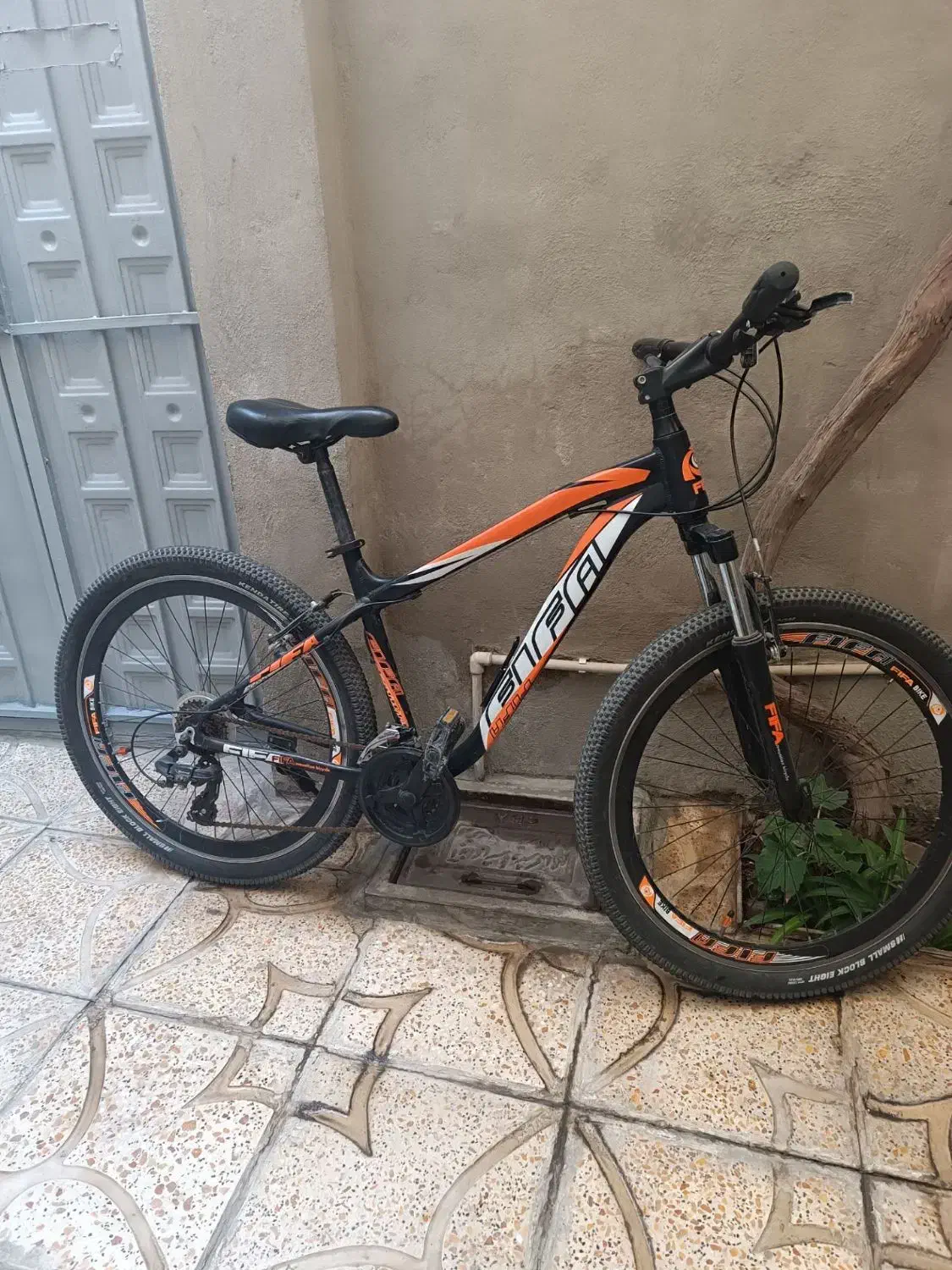 دوچرخه ۲۶|دوچرخه، اسکیت، اسکوتر|قدس, شهرقدس|دیوار