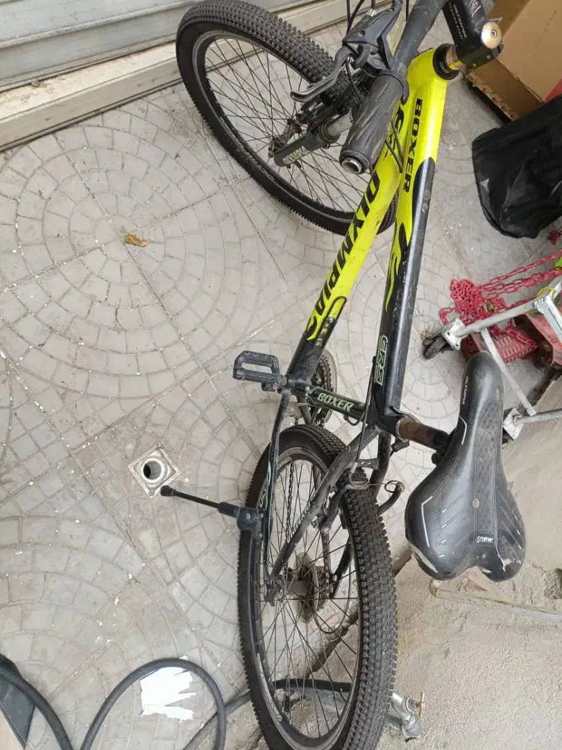 دوچرخه المپیا ۲۶|دوچرخه، اسکیت، اسکوتر|فردیس, شهرک ارم|دیوار