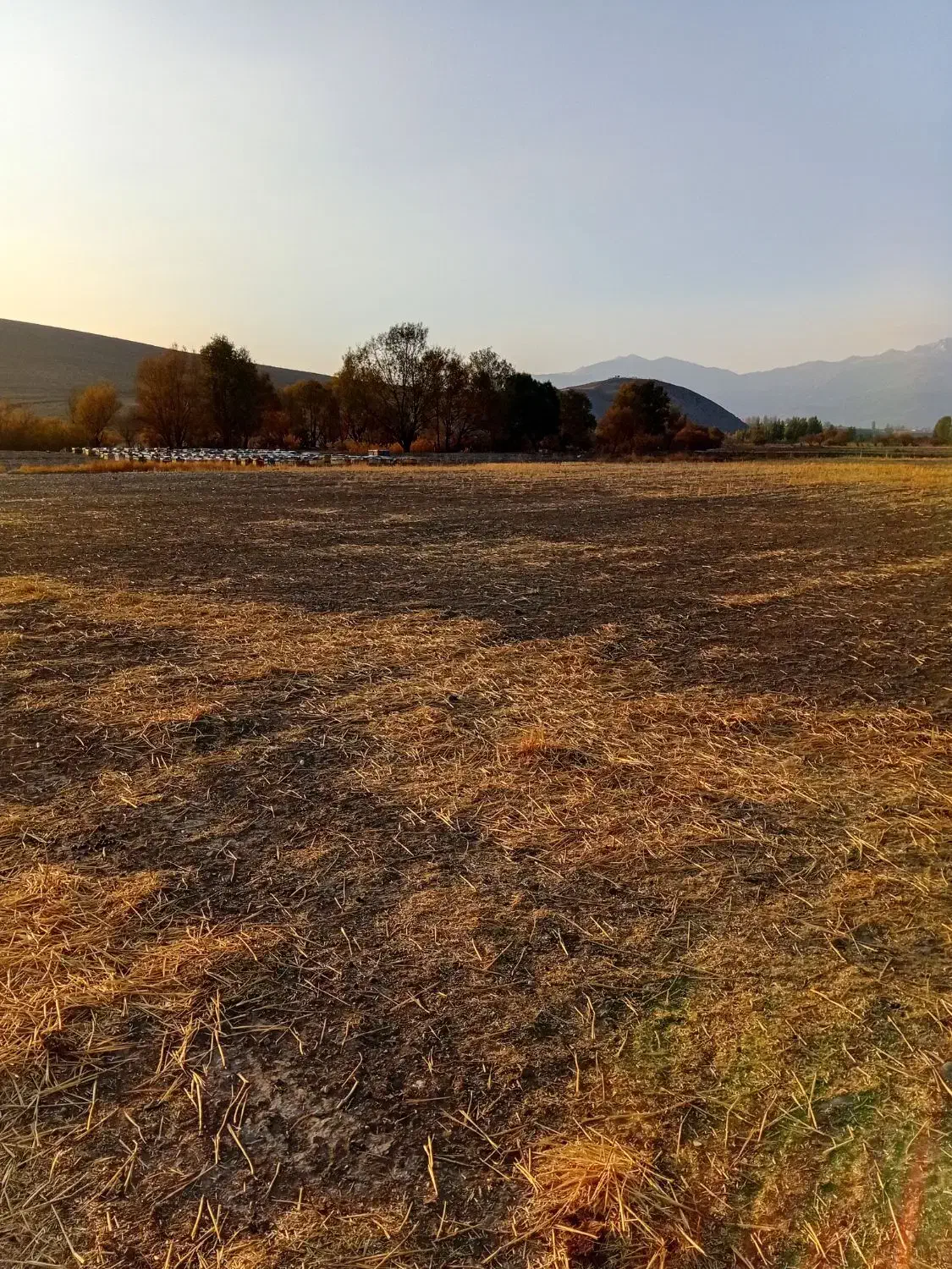 ملک آبی|فروش زمین و ملک کلنگی|سیلوانه, |دیوار