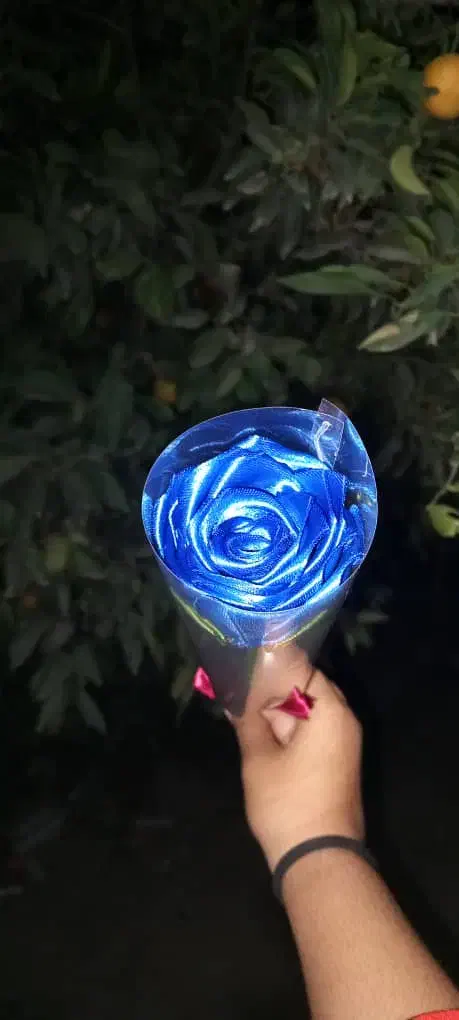 گل روبانی|گل مصنوعی|گنبد کاووس, |دیوار