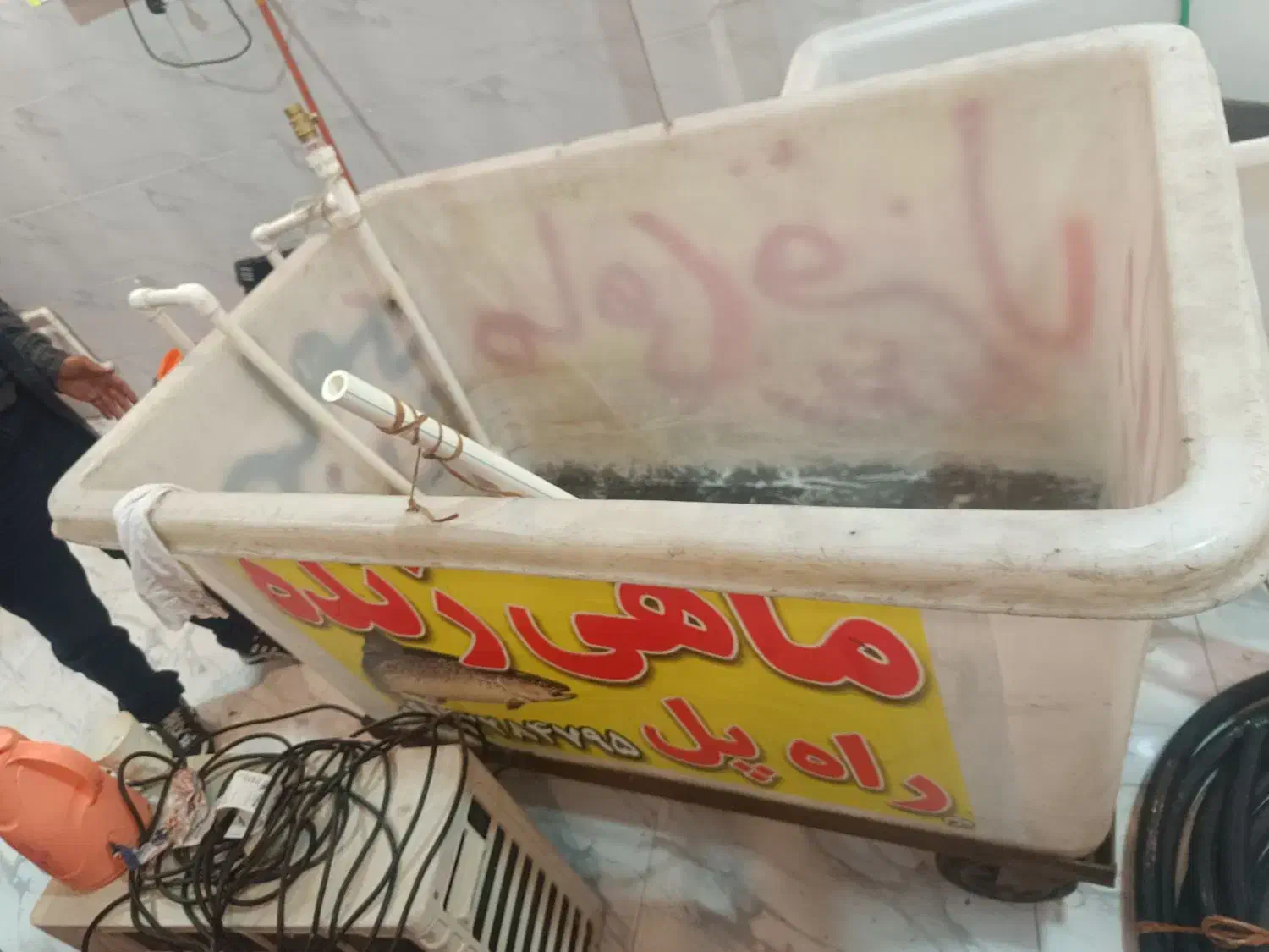 لوازم قصابی و مرغ و ماهی|فروشگاه و مغازه|سنگر, |دیوار