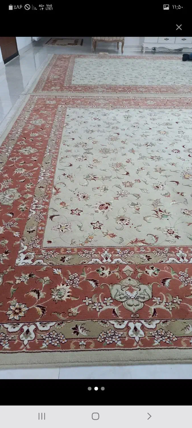 فرش|فرش|نیشابور, گمنام غربی|دیوار