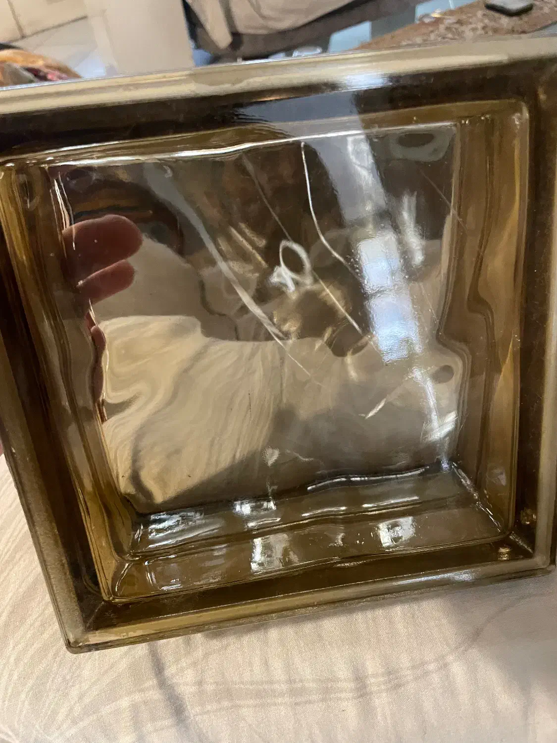 بلوک شیشه ای|مصالح و تجهیزات ساختمان|تهران, جهاد|دیوار