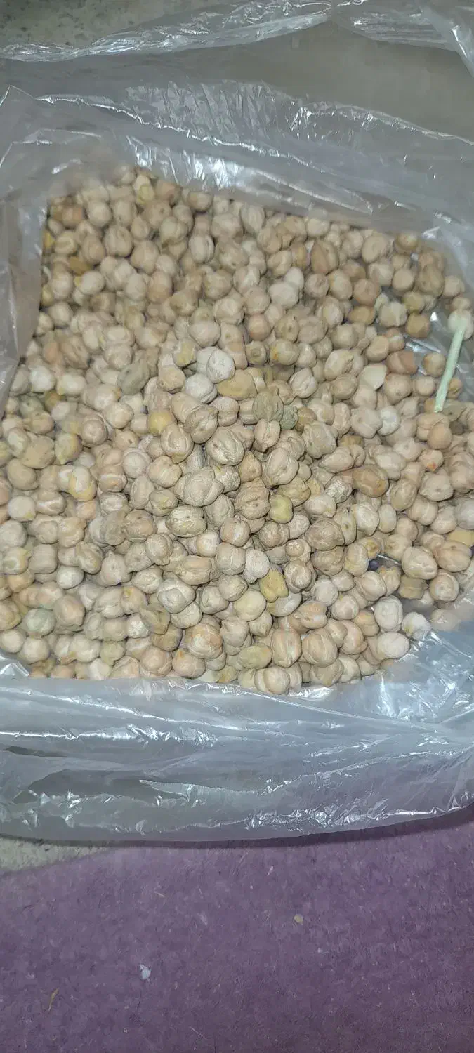 نخود خوشپخت و بوجاری شده کیلو ۱۴۰ تومن|خوردنی و آشامیدنی|قیدار, |دیوار