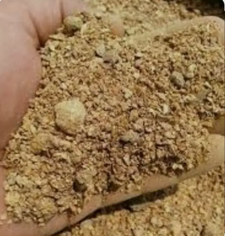 سویا|عمده‌فروشی|رومشکان, |دیوار