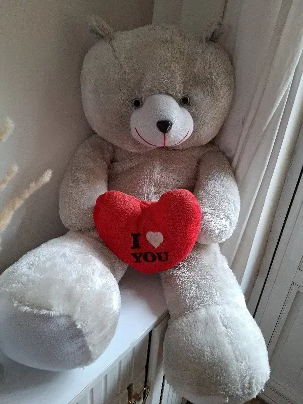 عروسک|اسباب‌‌بازی|اشنویه, |دیوار