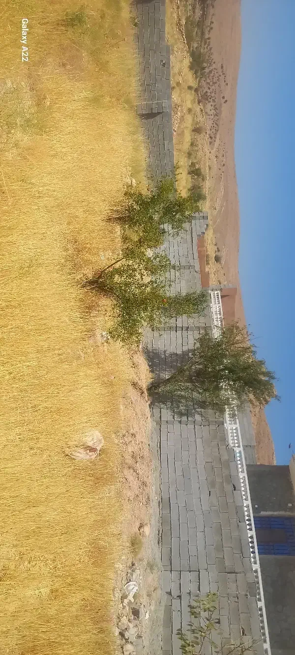 فروش باغ 1000متری روستای بردج|فروش خانه و ویلا|شیراز, داریون|دیوار