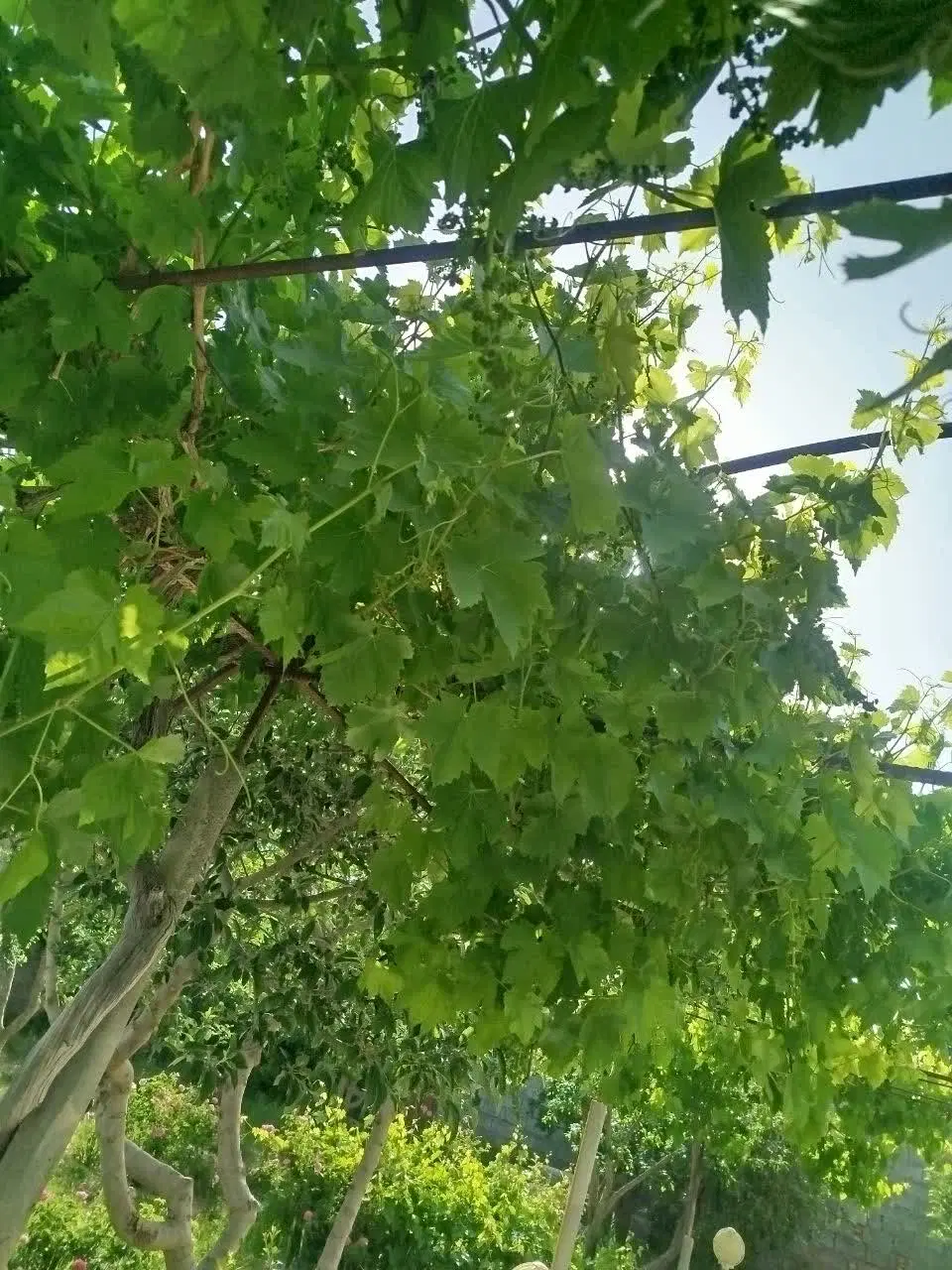 تصویر 10