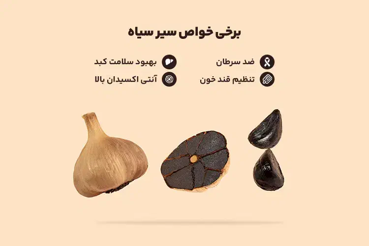 سیر سیاه|خوردنی و آشامیدنی|رشت, چله خانه|دیوار