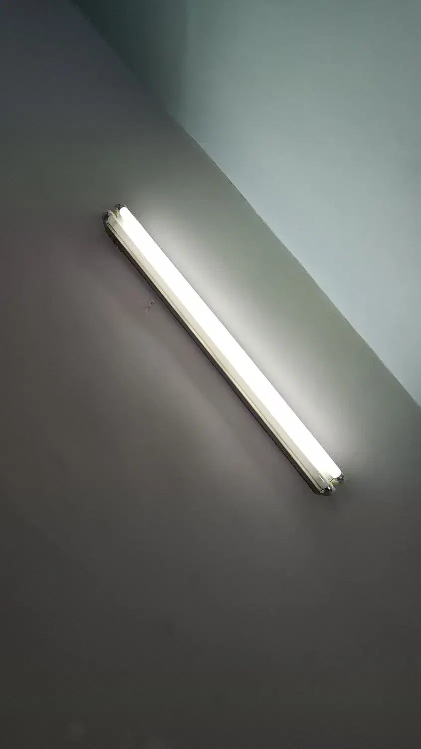 ۳عددمهتابی|لامپ و چراغ|بندرعباس, |دیوار