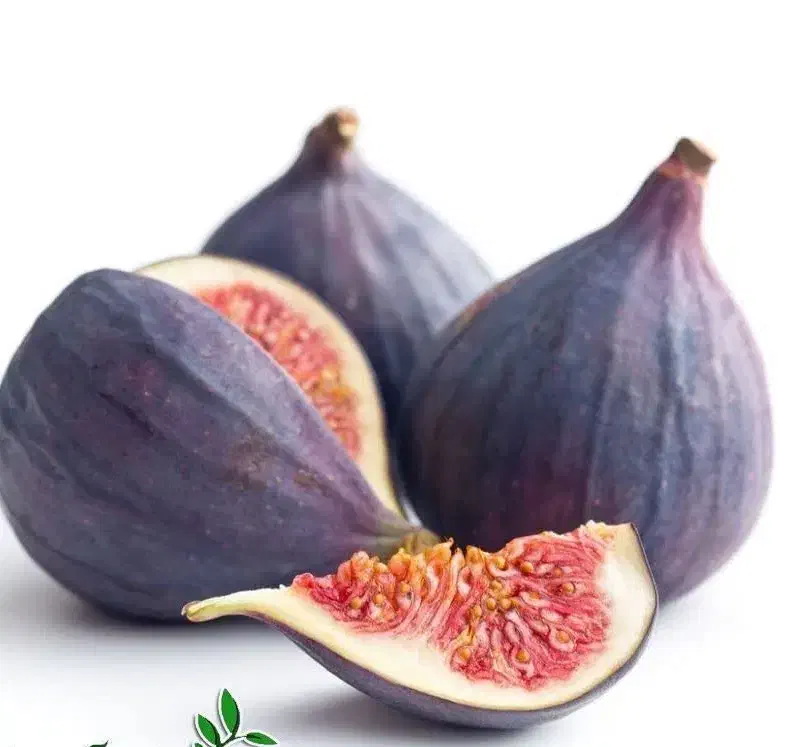 ارائه نهال انجیر سیاه|خدمات باغبانی و درختکاری|سراب, |دیوار