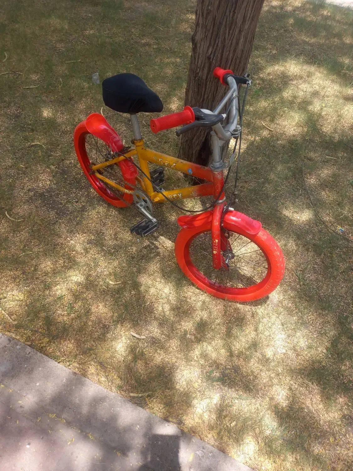 دوچرخه سایز۱۶|دوچرخه، اسکیت، اسکوتر|اهواز, آسیاباد|دیوار