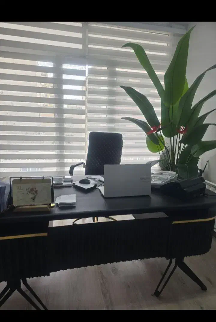 صدور بیمه نامه|خدمات مالی، حسابداری، بیمه|قم, شهرک امام حسن|دیوار