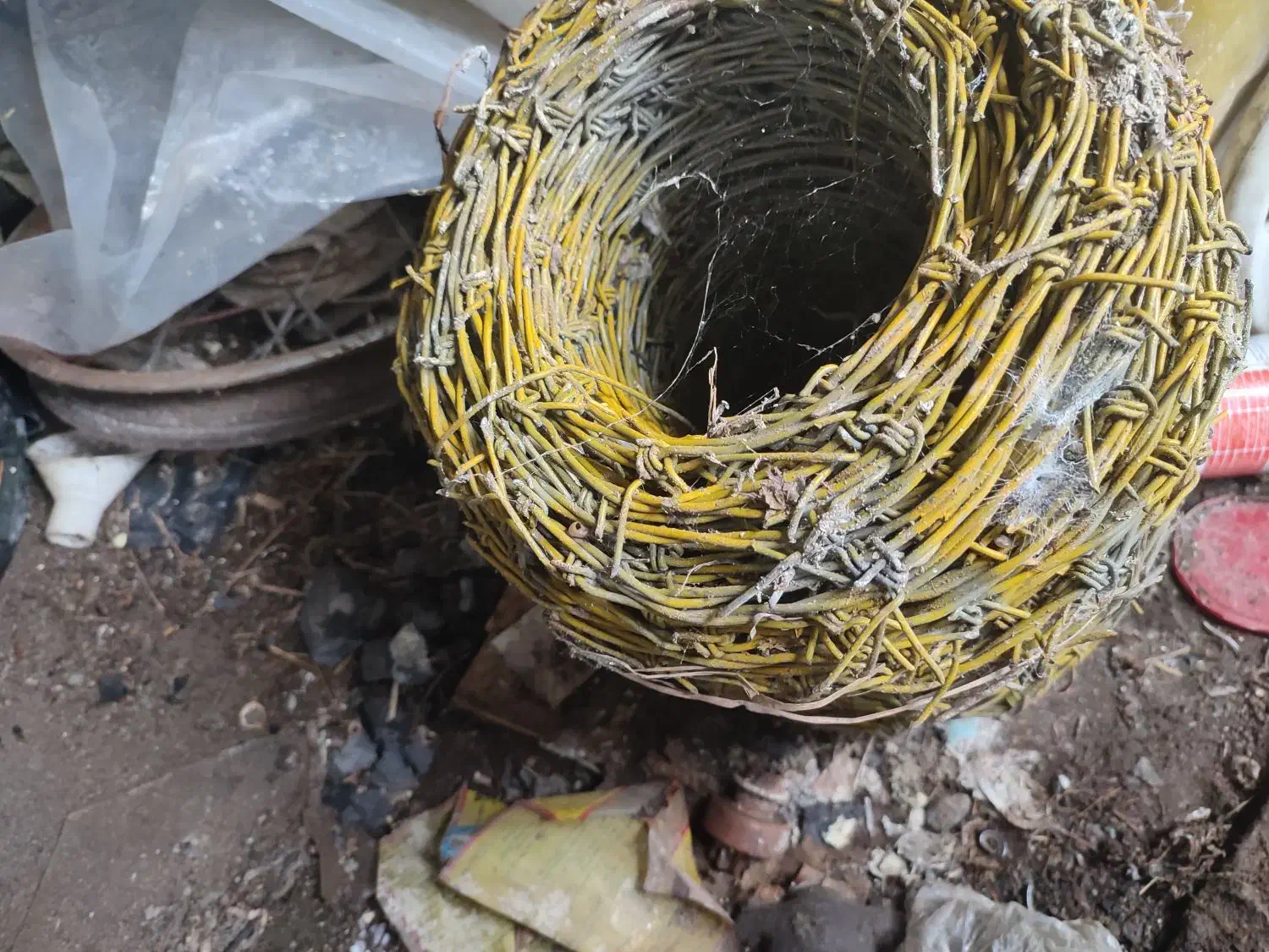 سیم خاردار و فنس درجه یک|مصالح و تجهیزات ساختمان|چابکسر, |دیوار