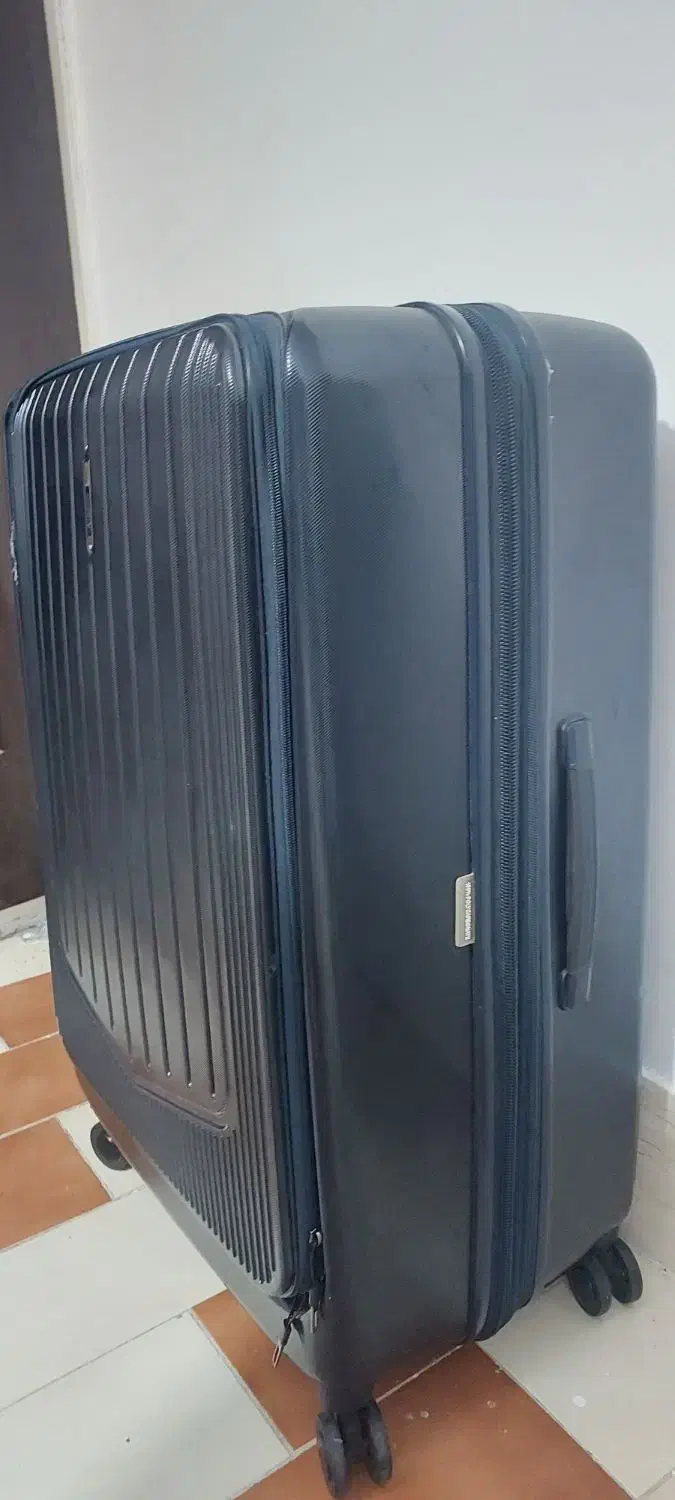 چمدان|کیف، کفش، کمربند|کاشمر, |دیوار