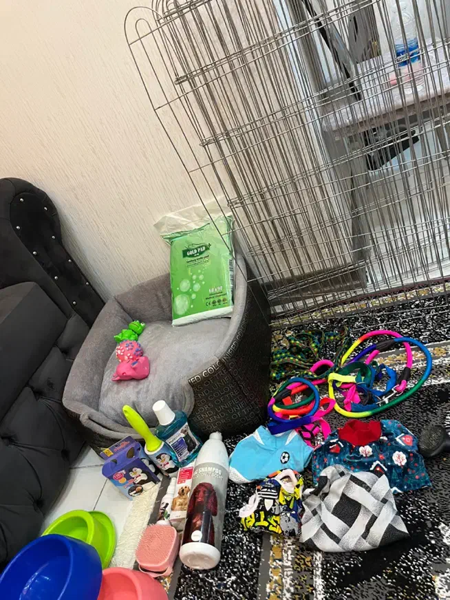 وسایل سگ|لوازم جانبی حیوانات|پرند, فاز ۶|دیوار