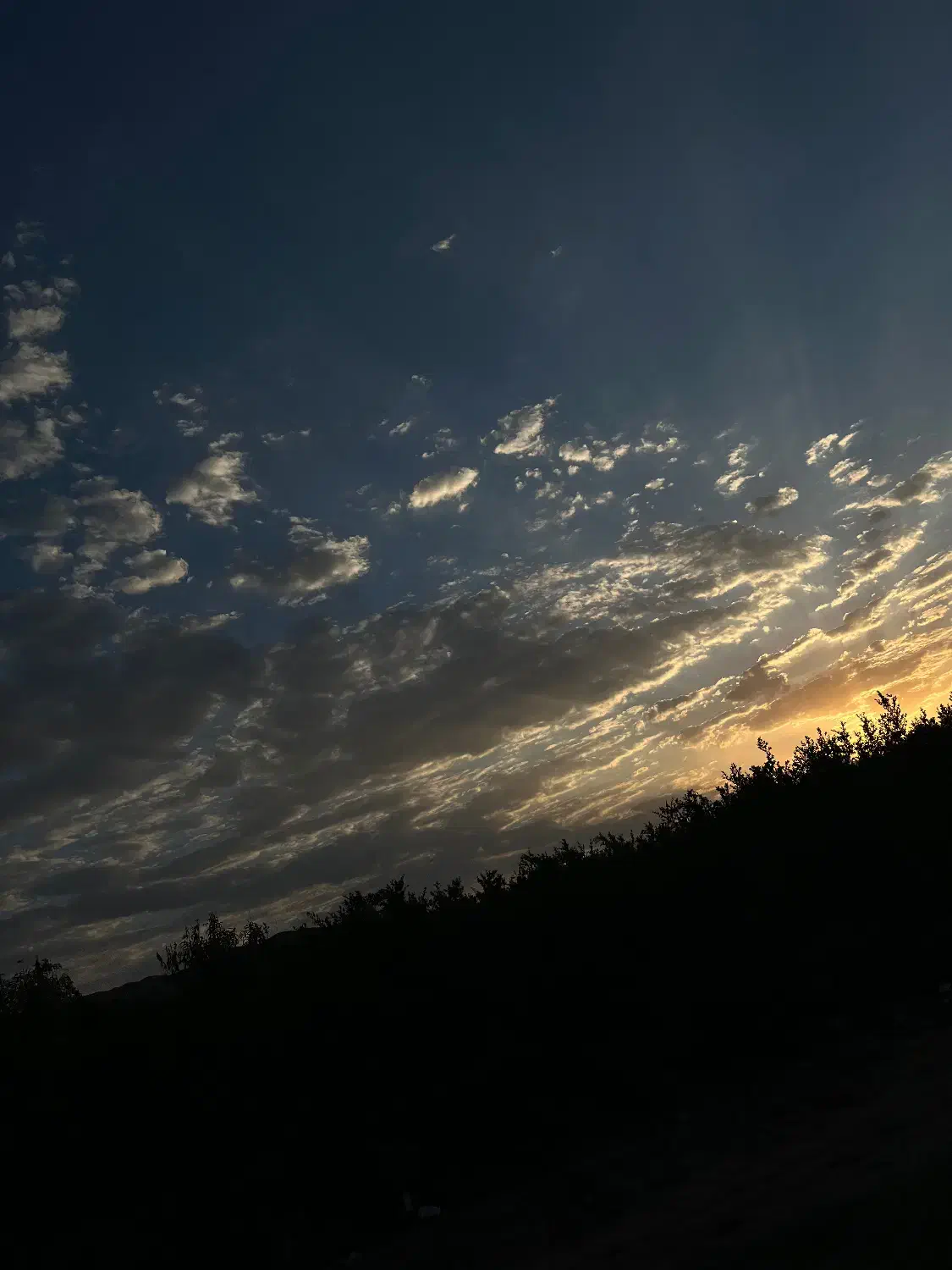 اجاره زمین کشاورزی با تلمبه شیش دانگ|اجارهٔ دفتر صنعتی، کشاورزی، تجاری|فسا, |دیوار