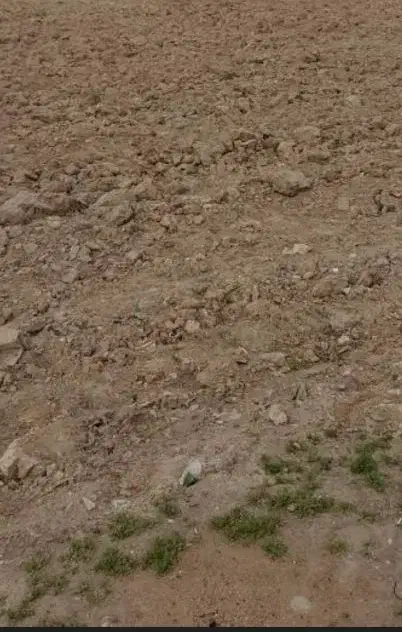 زمین خالی|فروش زمین و ملک کلنگی|نیک شهر, |دیوار