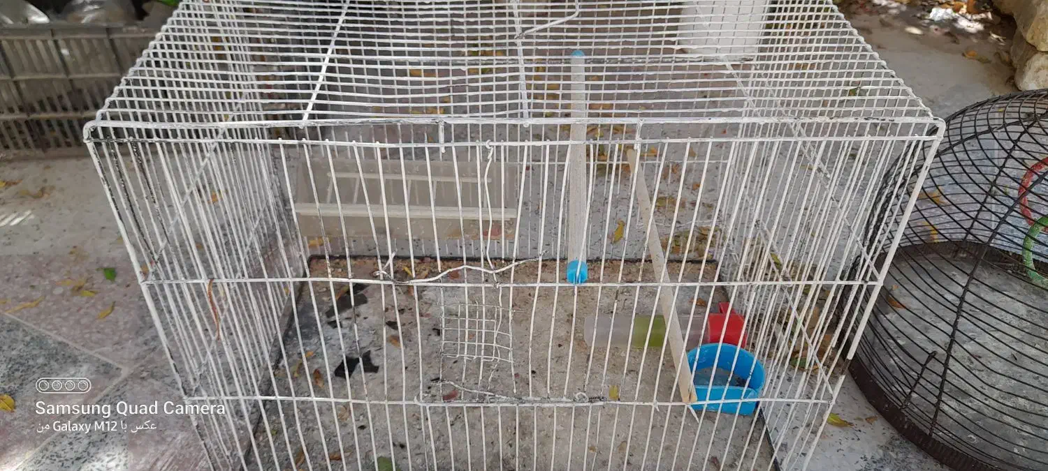 قفس  ودونه خوری|لوازم جانبی حیوانات|فسا, |دیوار