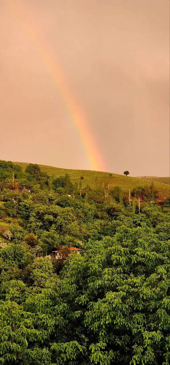 ۶۰۰ متر باغچه راحت آباد (باملواسان) قطعه بندی شده|فروش زمین و ملک کلنگی|لواسان, |دیوار
